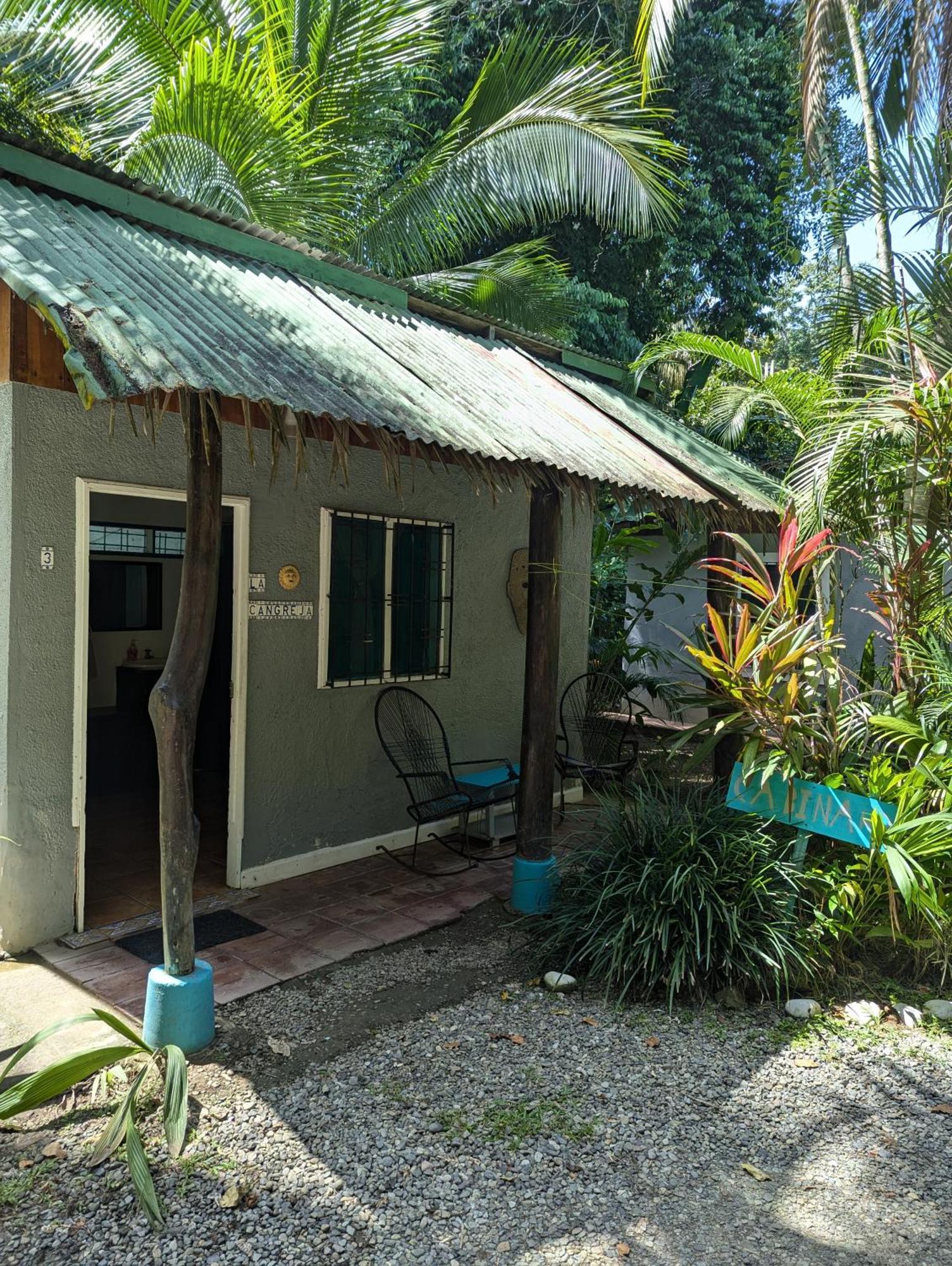 Tasty Dayz Hostel Puerto Viejo de Talamanca Esterno foto